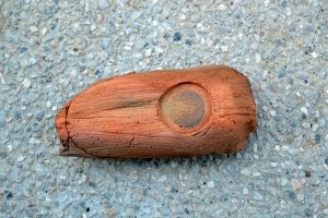 http://www.balambartolome.com/files/gimgs/th-106_106_tamal-2.jpg