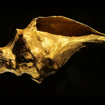http://www.balambartolome.com/files/gimgs/th-113_113_caracol-oro-web.jpg