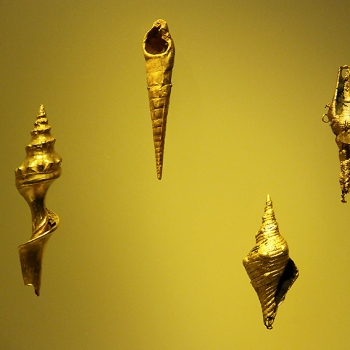 http://www.balambartolome.com/files/gimgs/th-113_113_caracoles-oro.jpg