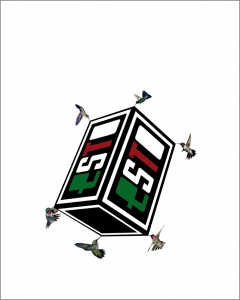 http://www.balambartolome.com/files/gimgs/th-93_93_bandera2011.jpg