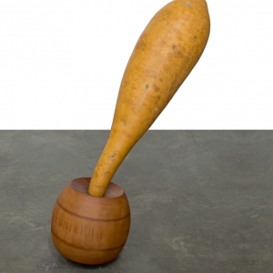 http://www.balambartolome.com/files/gimgs/th-96_Colibri-web_v2.jpg