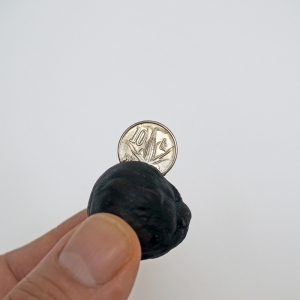 http://www.balambartolome.com/files/gimgs/th-96_Guillotina-mazorca.jpg